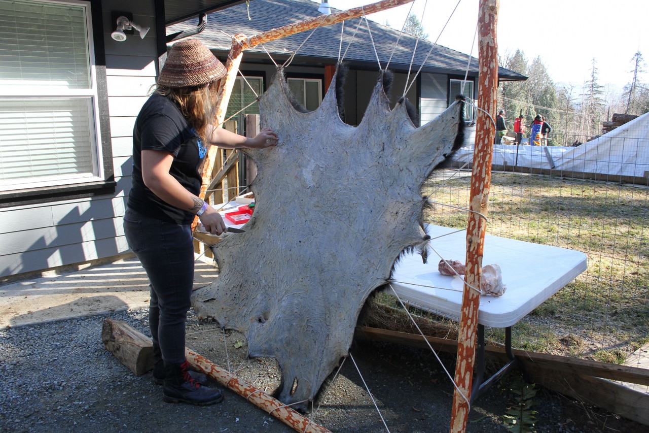 Traditional bear hide tanning demonstrated for youth HaShilthSa